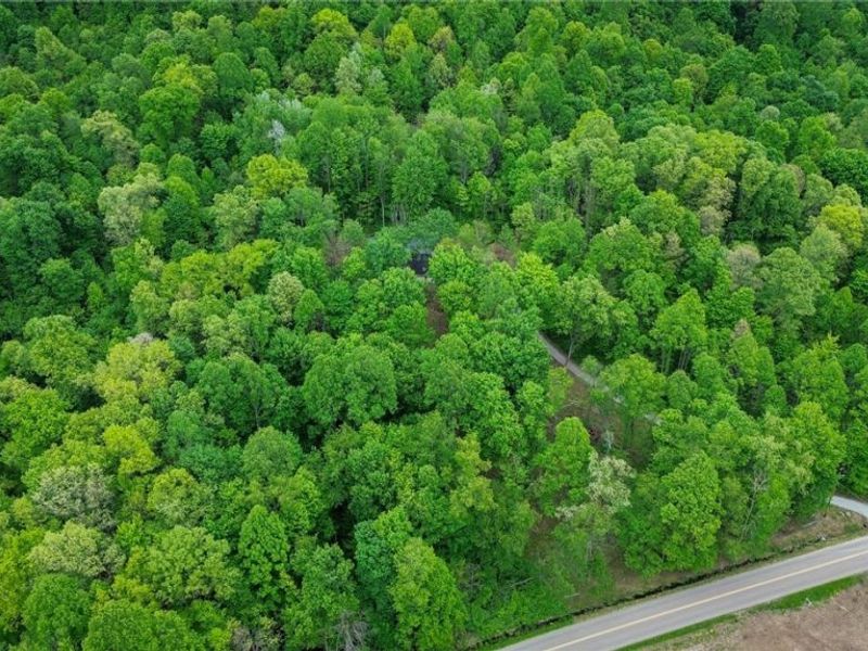 5309 Cherry Run Rd Road , Strasburg, OH 44680 Photo 43