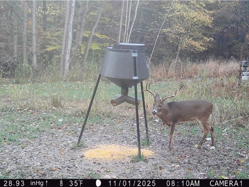 5309 Cherry Run Rd Road , Strasburg, OH 44680 Photo 45