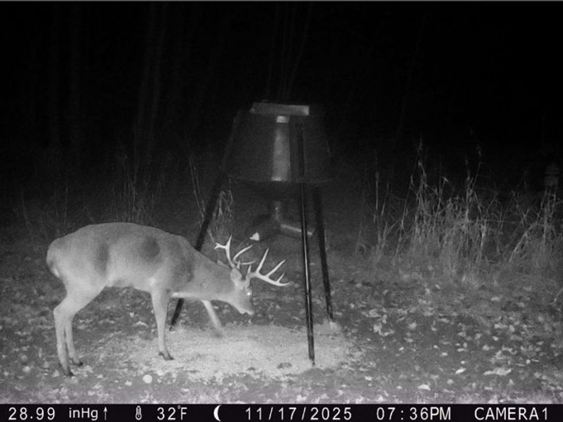 5309 Cherry Run Rd Road , Strasburg, OH 44680 Photo 47