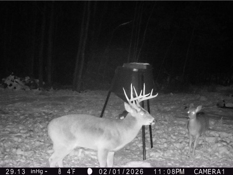 5309 Cherry Run Rd Road , Strasburg, OH 44680 Photo 48
