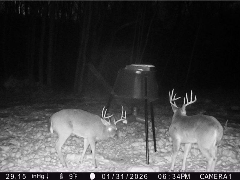 5309 Cherry Run Rd Road , Strasburg, OH 44680 Photo 49