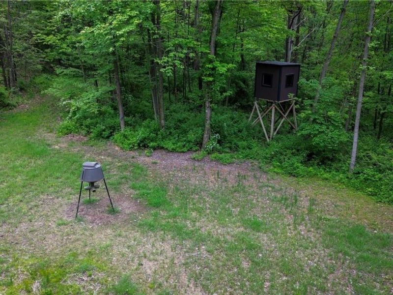 5309 Cherry Run Rd Road , Strasburg, OH 44680 Photo 9