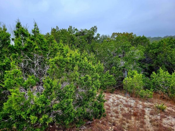 171 Appaloosa DR, Fischer, TX 78623