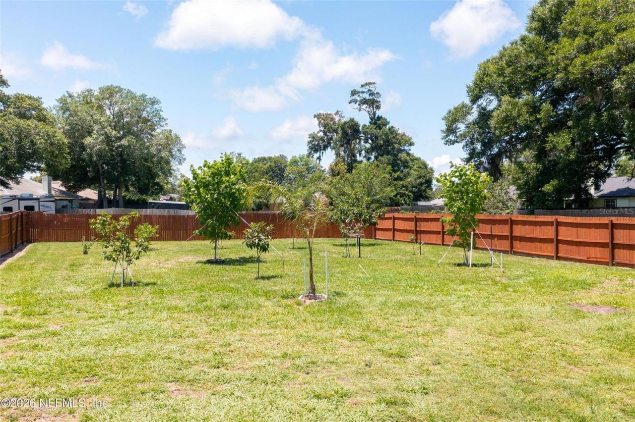 1202 Dorwinion Drive, Jacksonville, FL 32225 Photo