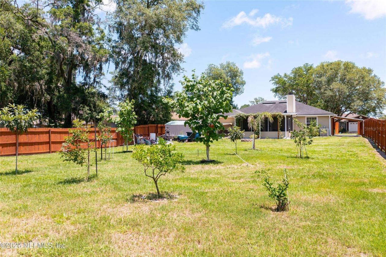 1202 Dorwinion Drive, Jacksonville, FL 32225 Photo