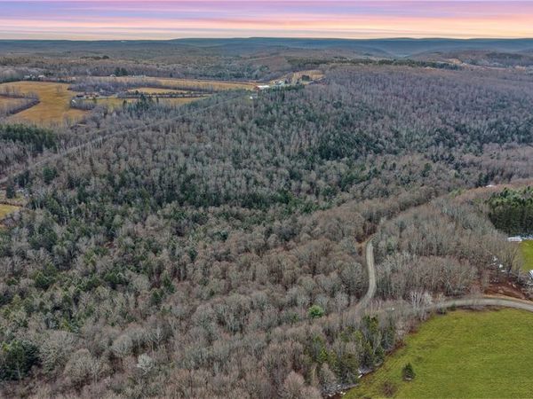 VL Lot 1 Dry Run Road, Beaver Dams, NY 14812