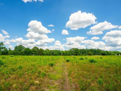 0 Rehoboth Road, Cottageville, SC 29435
