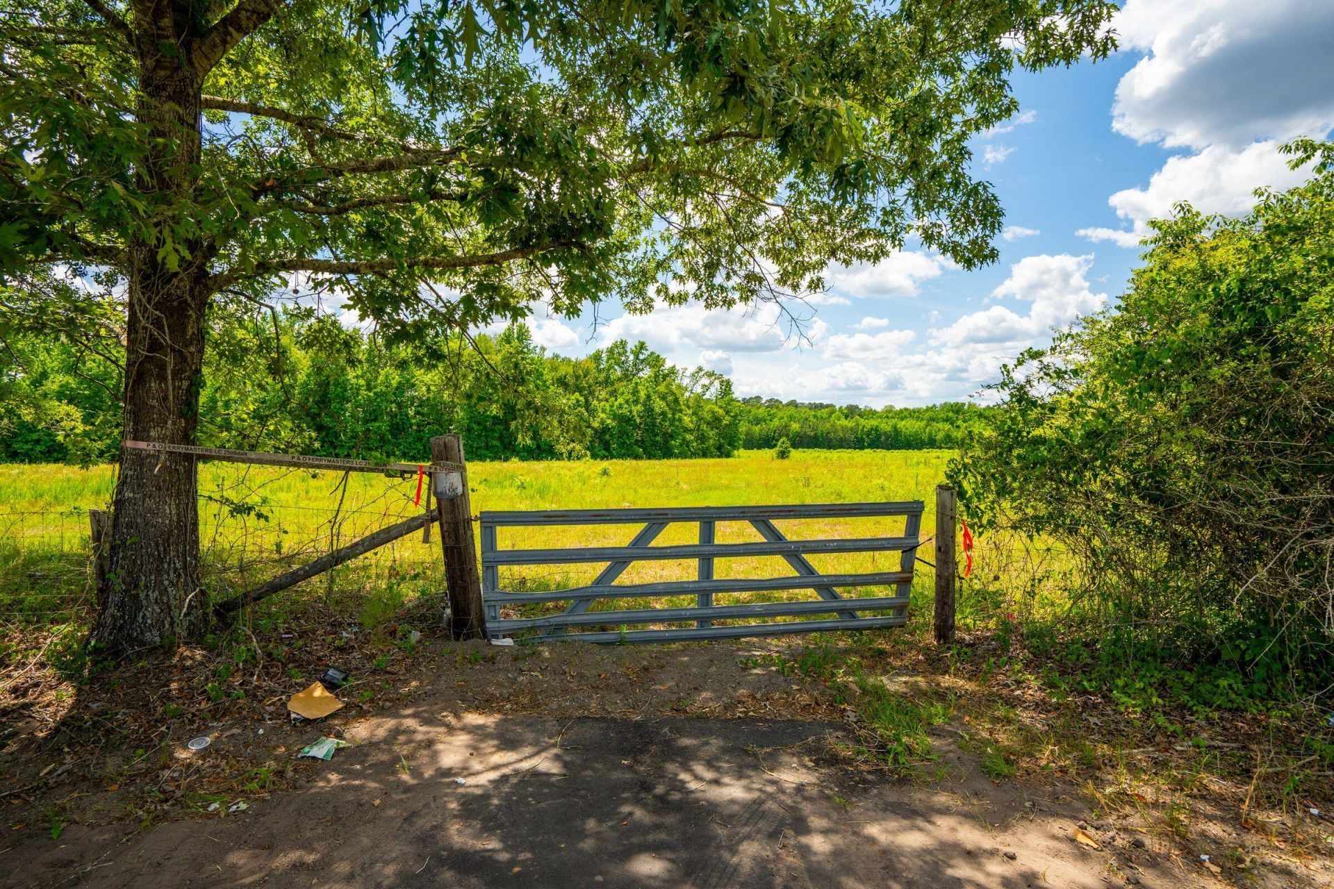 0 Rehoboth Road Photo 11