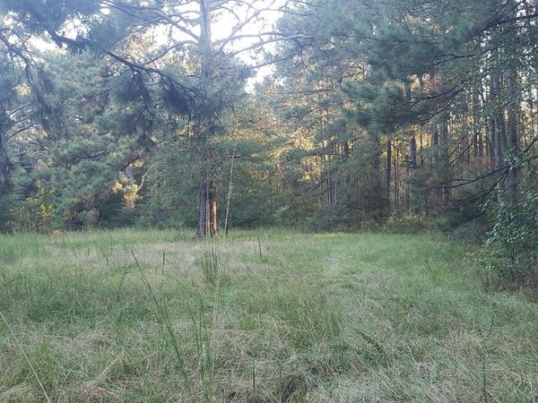 Us Highway 98 , Summit, MS 39666