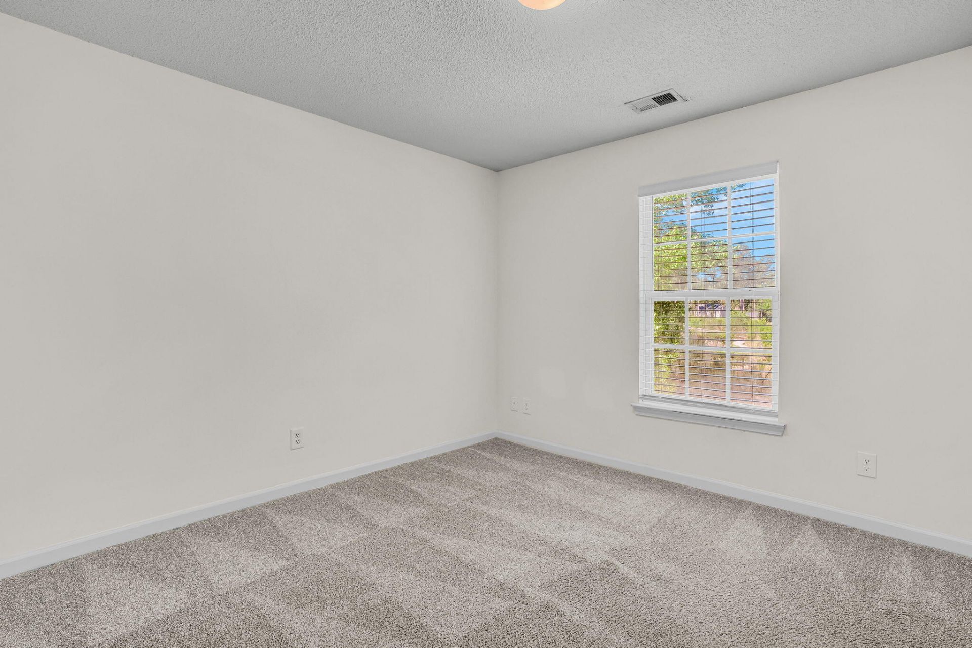 251 Trickle Drive Photo 24