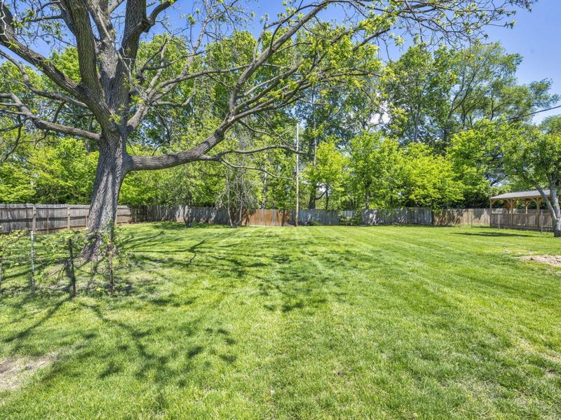486 Basswood Road , Columbus, OH 43207 Photo 28