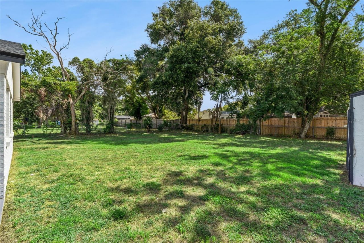 670 Vincent Drive, Mount Dora, FL 32757 Photo