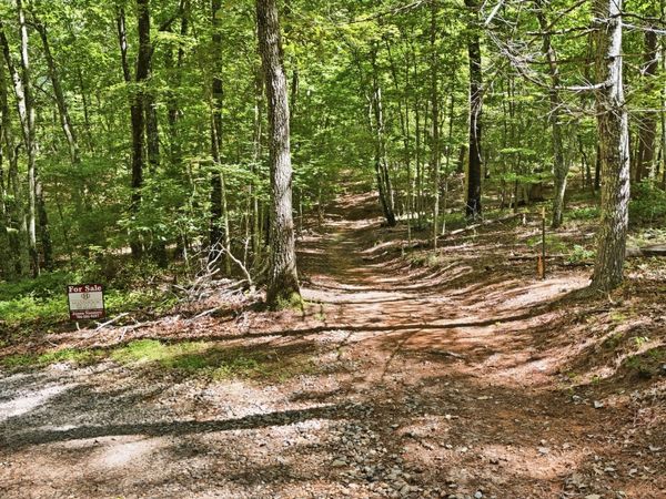 95 Black Bear Trail, Cleveland, GA 30528