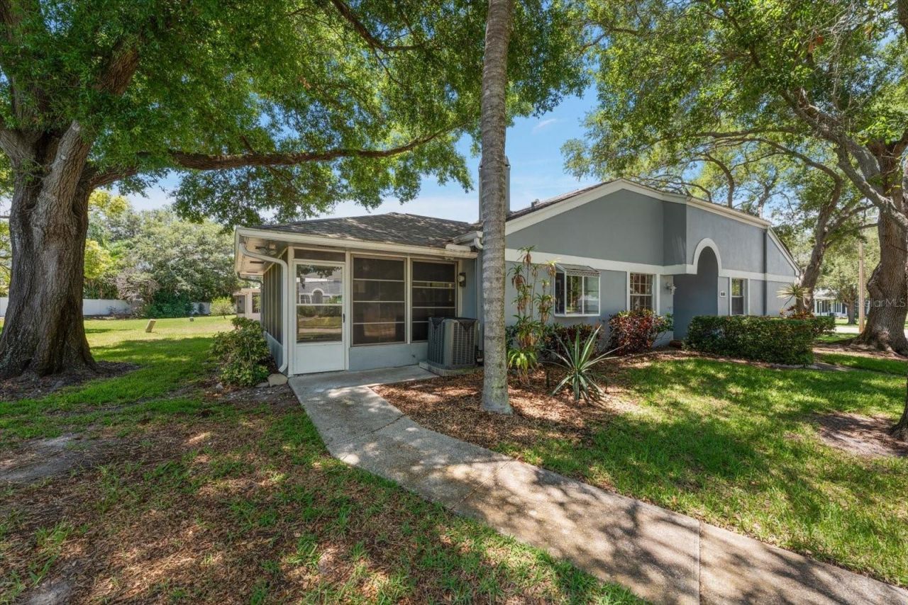 1334 Wickford Street, Safety Harbor, FL 34695 Photo