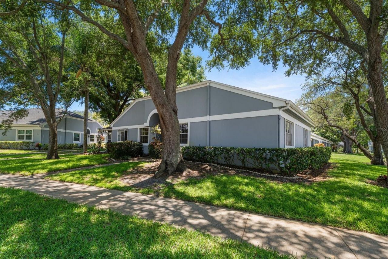 1334 Wickford Street, Safety Harbor, FL 34695 Photo