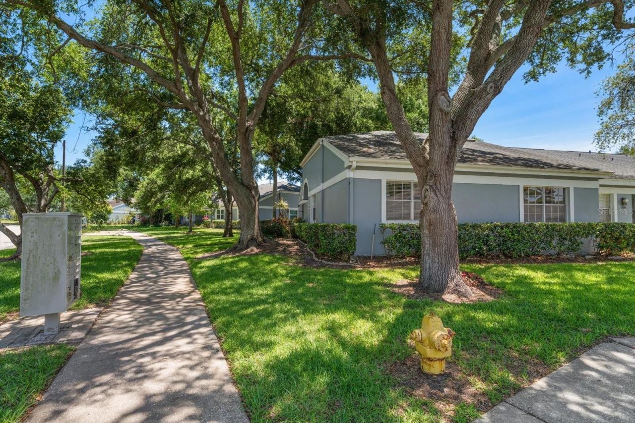 1334 Wickford Street, Safety Harbor, FL 34695 Photo