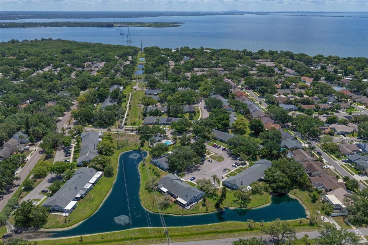 1334 Wickford Street, Safety Harbor, FL 34695 Photo