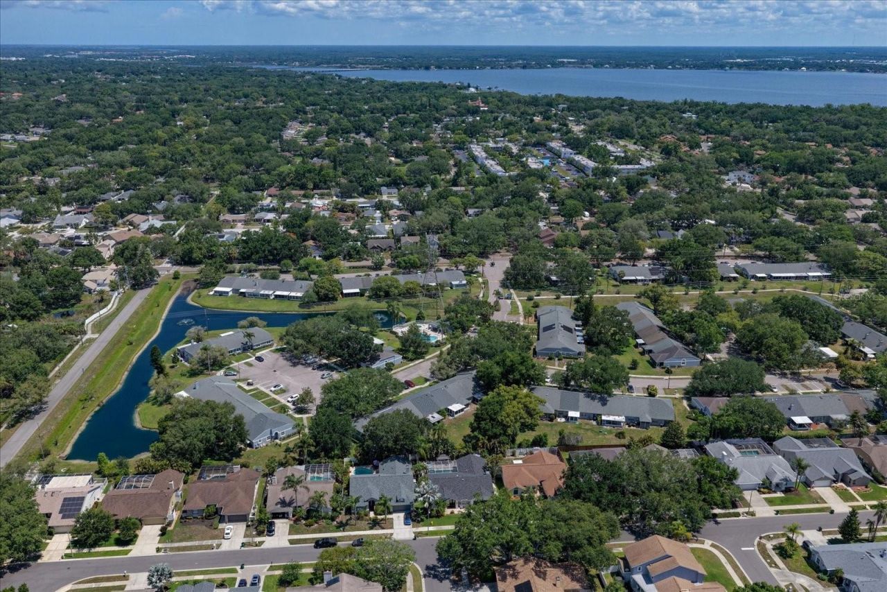 1334 Wickford Street, Safety Harbor, FL 34695 Photo
