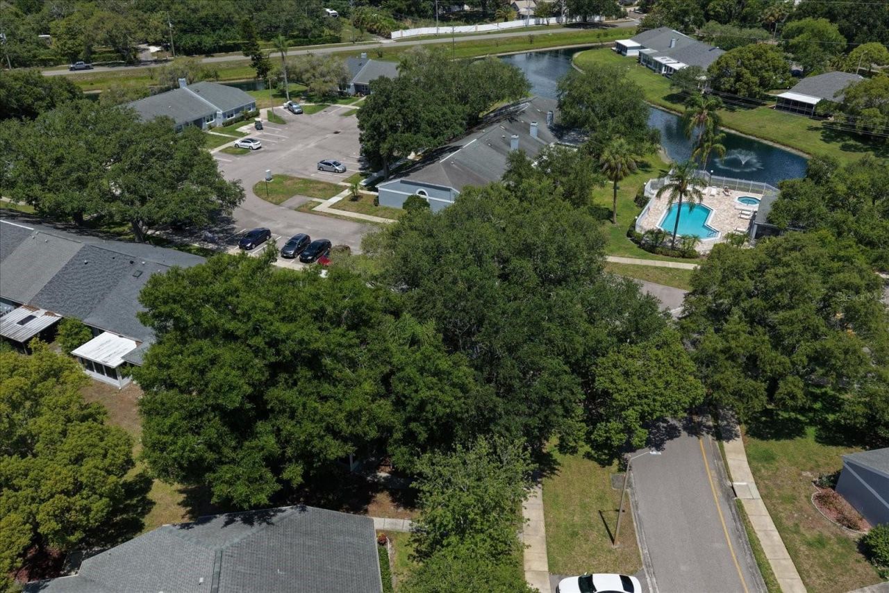 1334 Wickford Street, Safety Harbor, FL 34695 Photo
