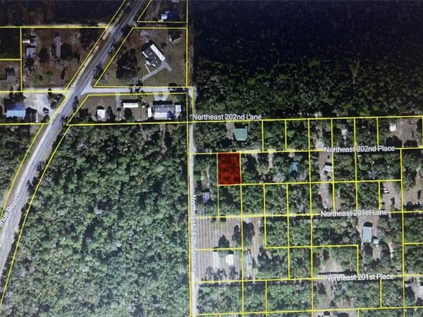 TBD NE 202ND PLACE , FORT MC COY, FL 32134