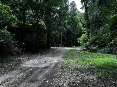 0 Varner Ridge Lane, Ridgeville, SC 29472