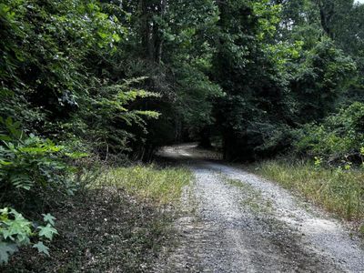 0 Varner Ridge Lane, Ridgeville, SC 29472