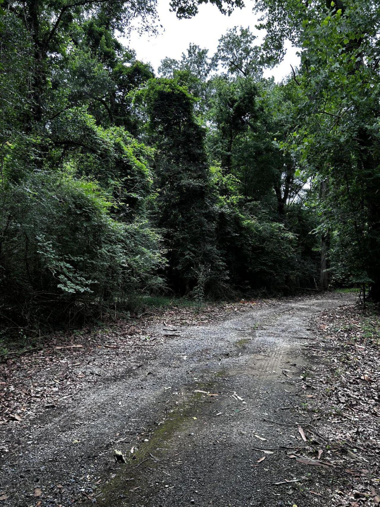 0 Varner Ridge Lane Photo 5