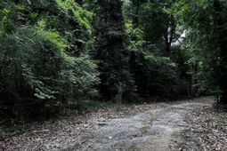 0 Varner Ridge Lane photo 4