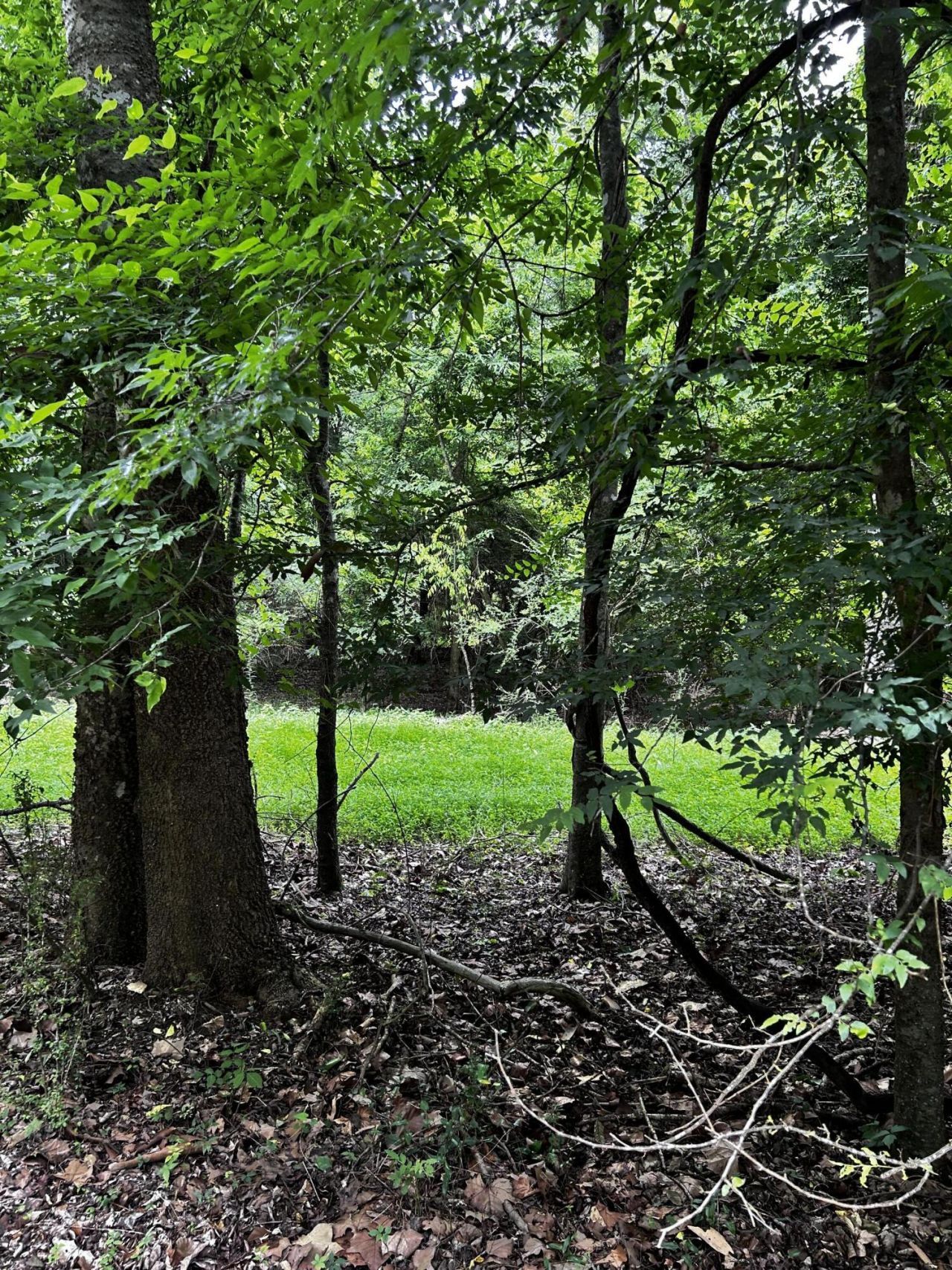 0 Varner Ridge Lane Photo 6