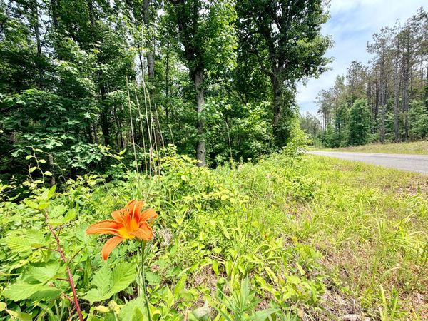 County Road 3080, Booneville, MS 38829