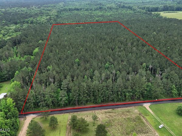 Davis Road, Morton, MS 39117