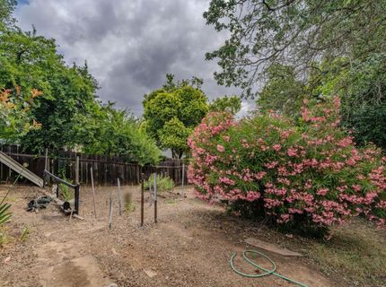 626 Sutter Ln, Ione, CA 95640 Photo