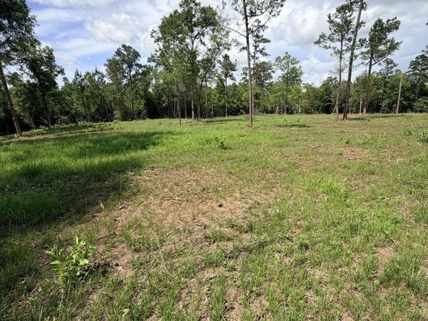 0 Buttercup Ln , Marianna, FL 32446