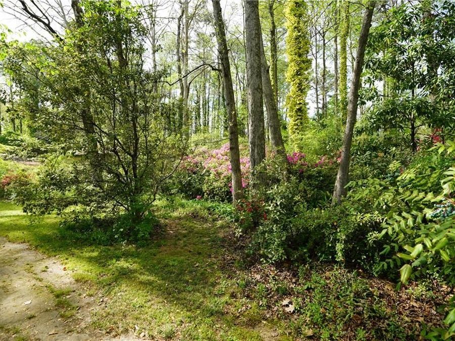 Property Image 54