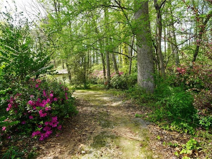 Property Image 56