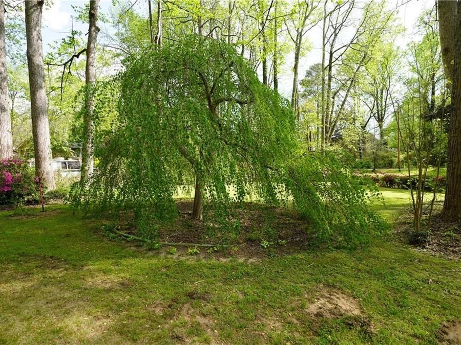 Property Image 60