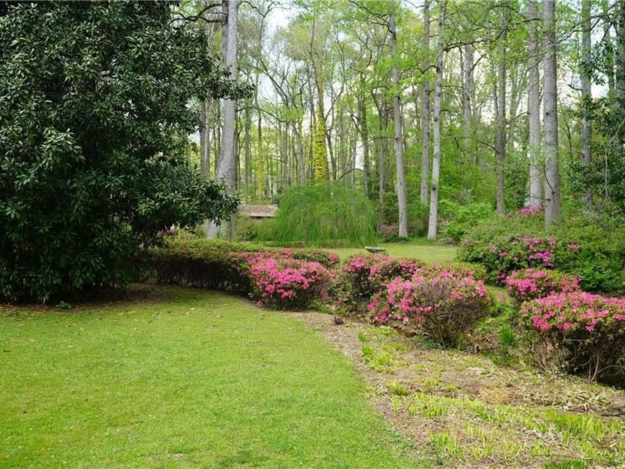 Property Image 61