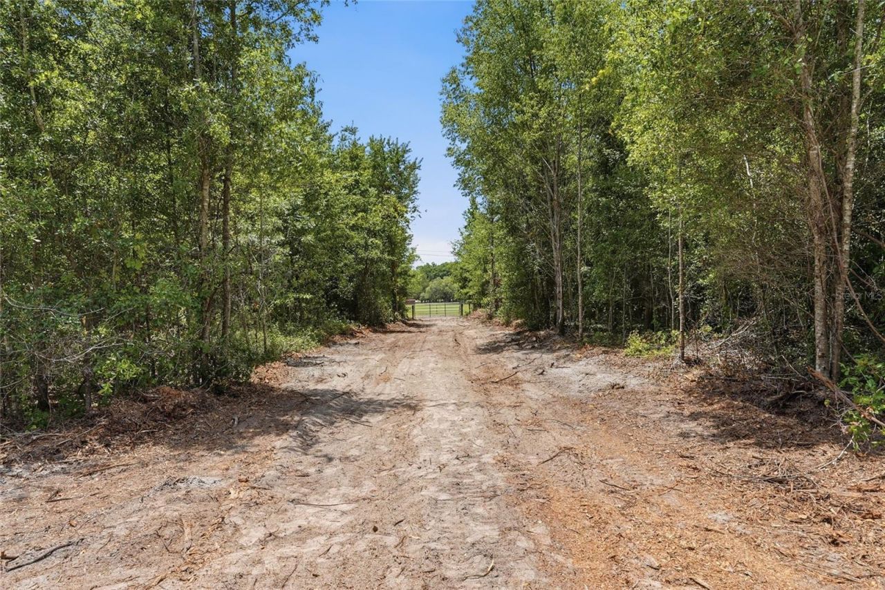 Sw 188th St , Archer, FL 32618 Photo