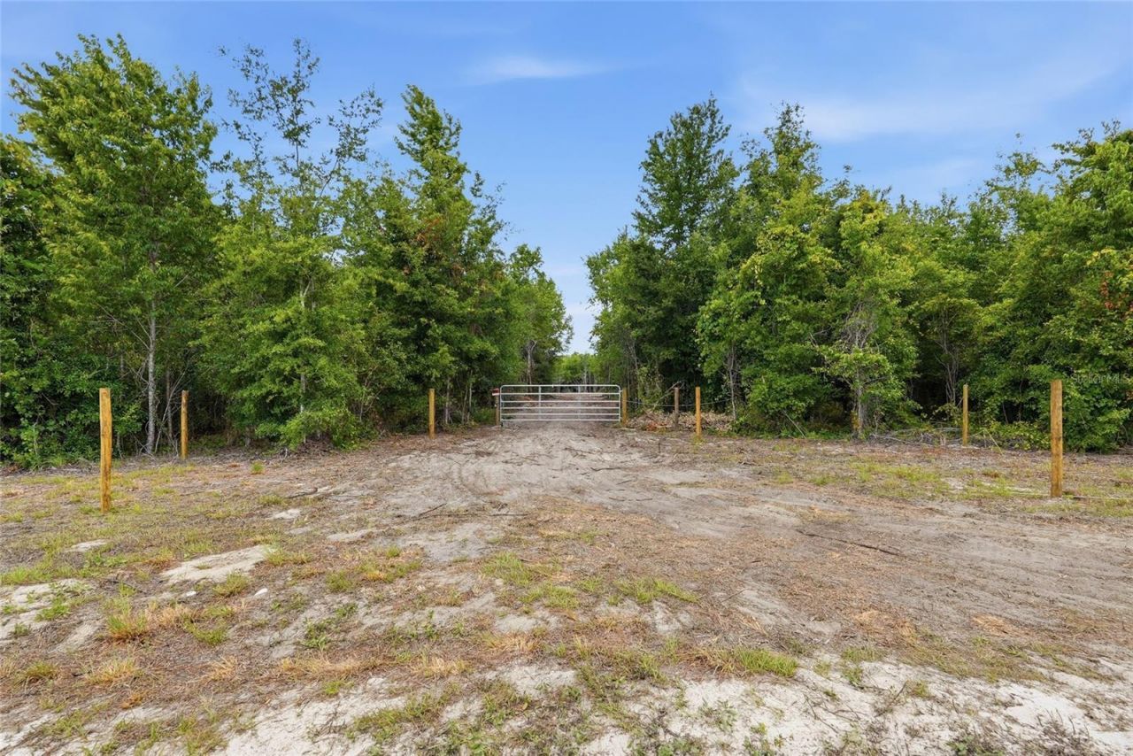 Sw 188th St , Archer, FL 32618 Photo