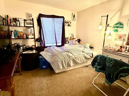 400 S Saliman Road, Unit APT 146, Carson City, NV 89701 Photo