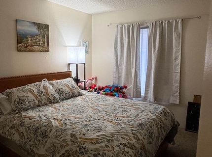 400 S Saliman Road, Unit APT 146, Carson City, NV 89701 Photo