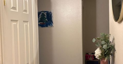 400 S Saliman Road, Unit APT 146, Carson City, NV 89701 Photo