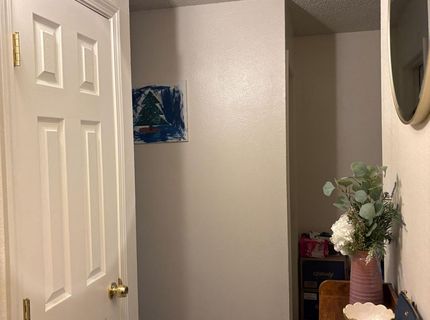 400 S Saliman Road, Unit APT 146, Carson City, NV 89701 Photo