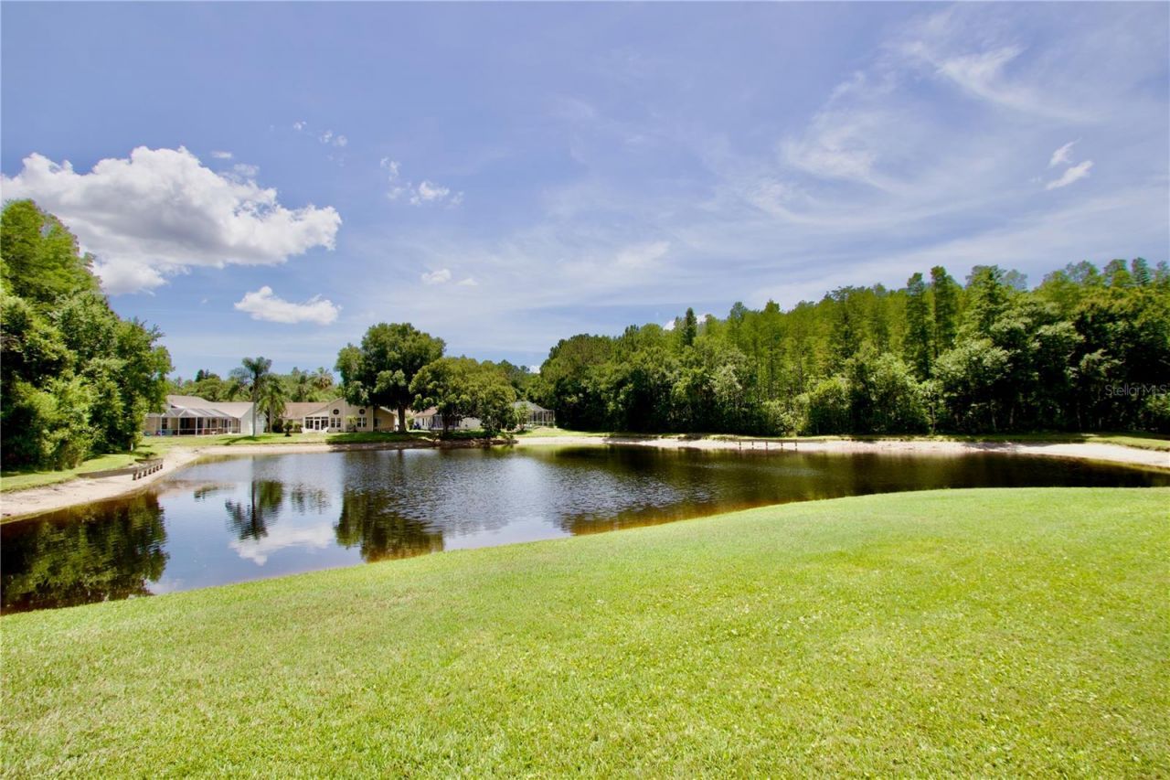 7842 Tenby Court, New Port Richey, FL 34655 Photo