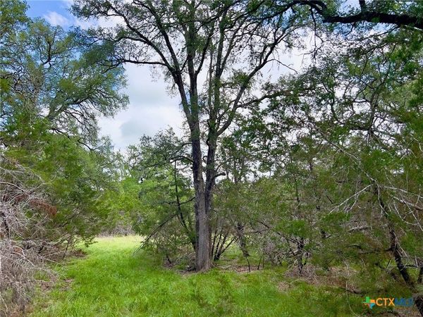 TBD Lot 43A Narrows Road , Unit 1, Blanco, TX 78606