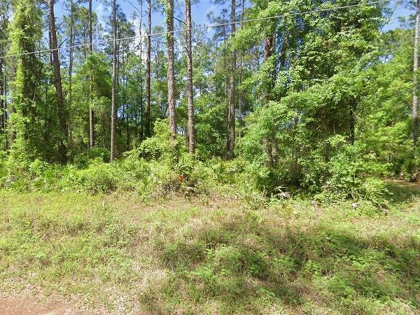 0 NE 156 PLACE , FORT MC COY, FL 32134
