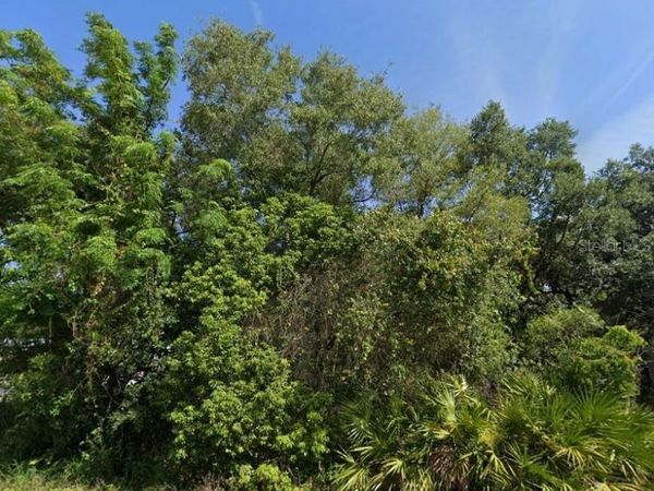 2521 CATFISH COURT , LAKE WALES, FL 33898