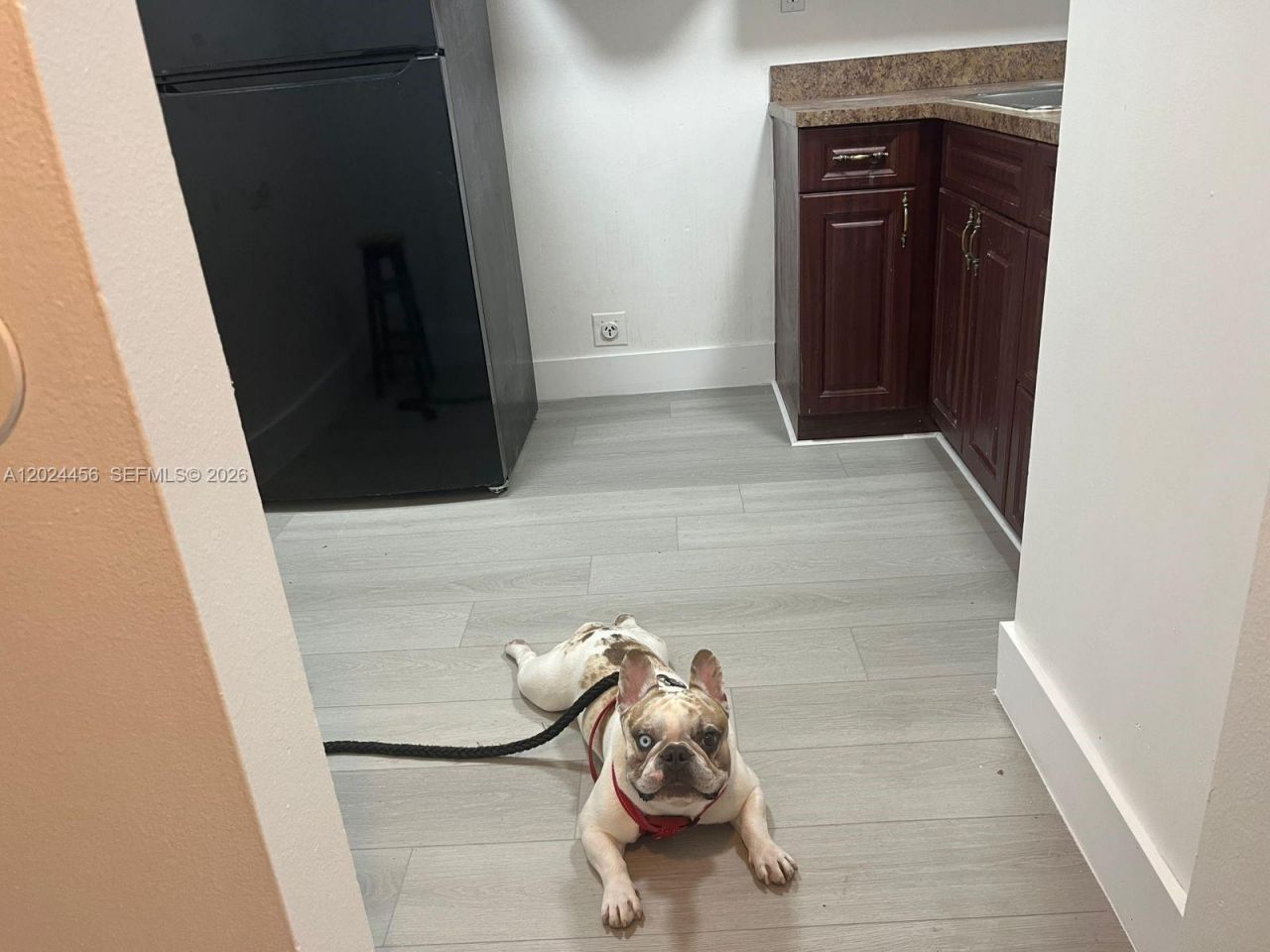 484 NW 165th St Rd, Unit A-111, Miami, FL 33169 Photo