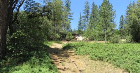 4426 Bald Mountain Road, West Point, CA 95255 Photo