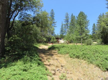 4426 Bald Mountain Road, West Point, CA 95255 Photo